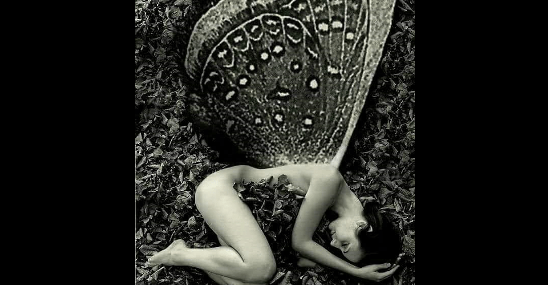 Message de transition